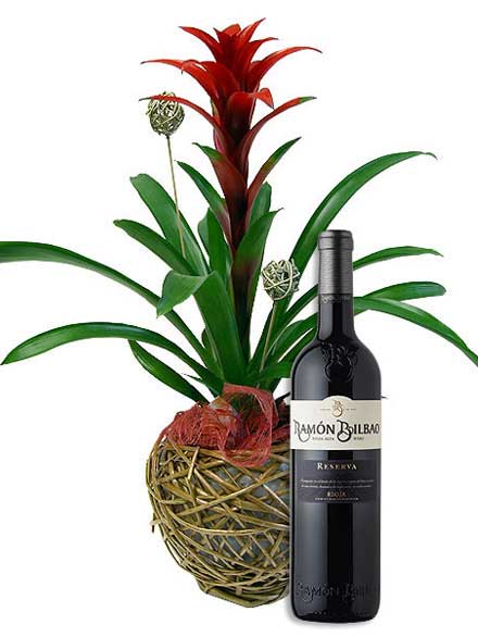 Guzmania y vino Ramn Bilbao