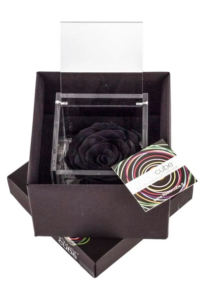 Flowercube Negra 8x8