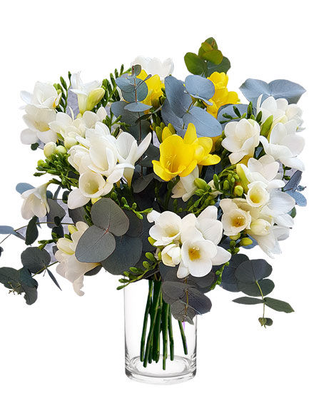 Ramo de Freesias