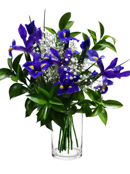 Ramo de flores Iris