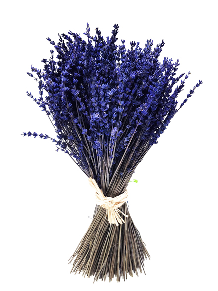 Lavanda