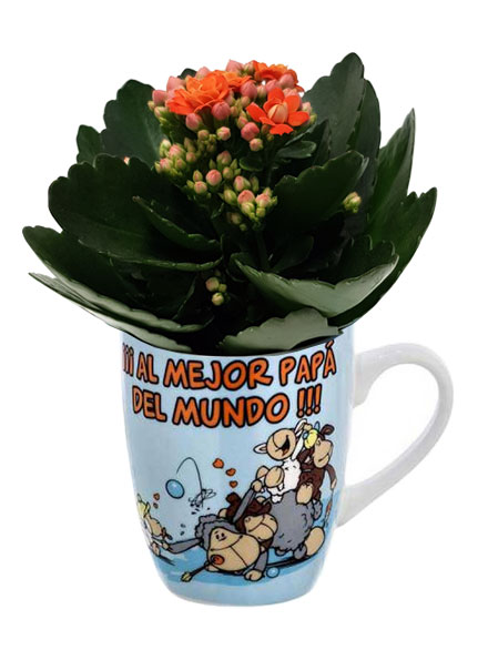 Conjunto Al mejor Pap� del mundo