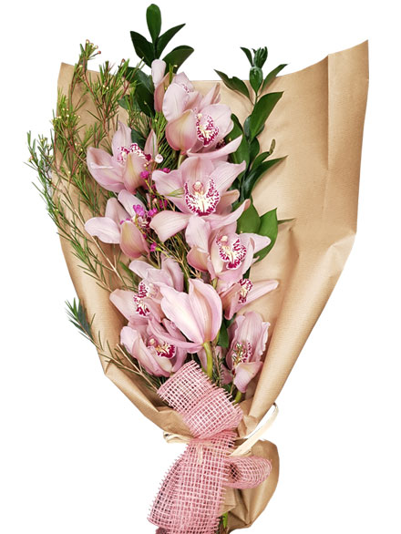 Vara de Orqudea