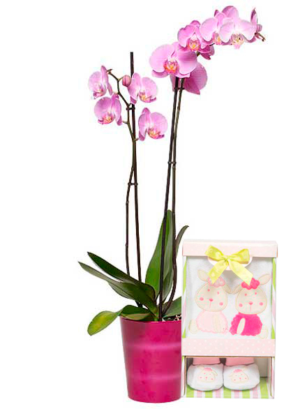Orqudea rosa con babero y patucos