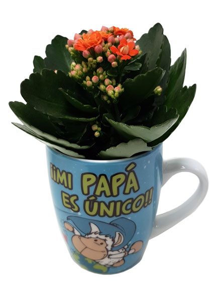 Conjunto Mi Pap� es �nico