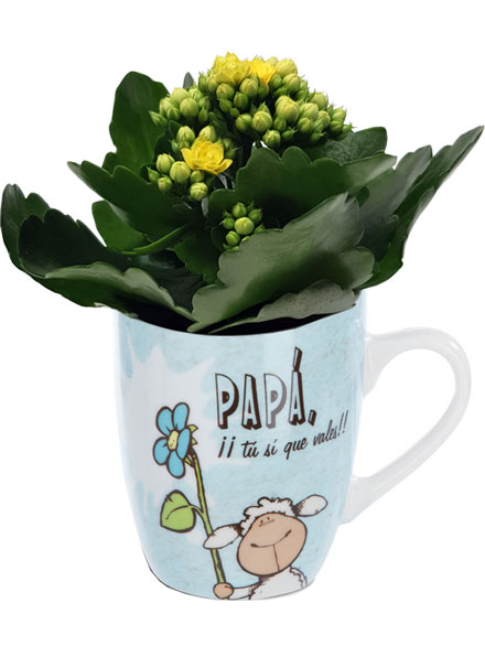 Conjunto Pap� tu s� que vales