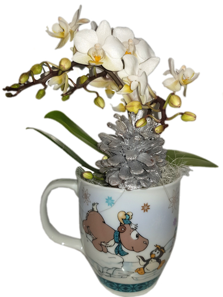 Taza Orquidea navidad
