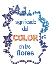 Los colores en flores y plantas