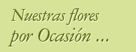 Nuestras flores por ocasi&oacute;n