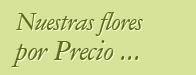 Nuestras flores por precio