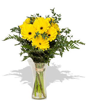 	Revivir flores marchitas